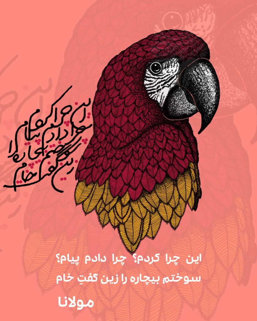 طوطی